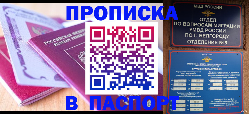 временная регистрация законно в Завитинске