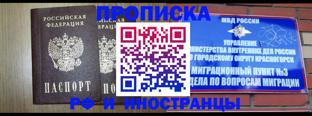 прописка в квартире в Завитинске